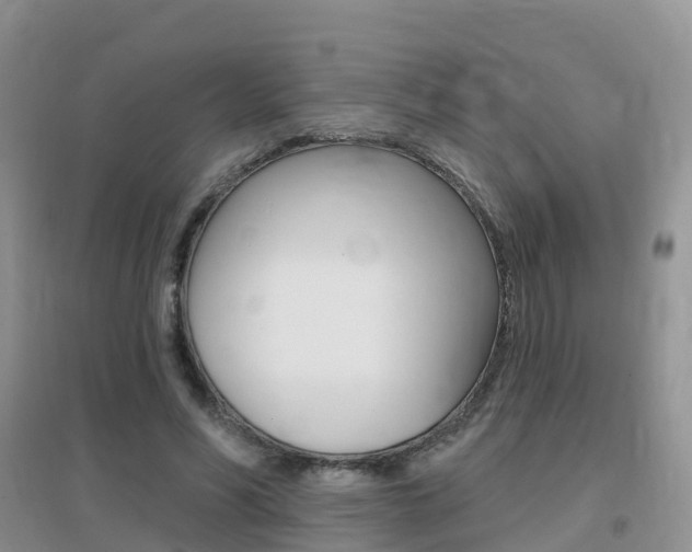 X0000096950590200802080923