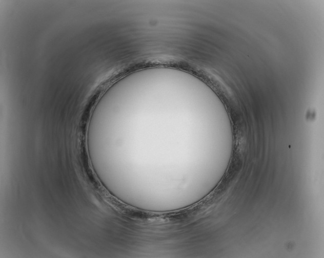 X0000096950591200802080923