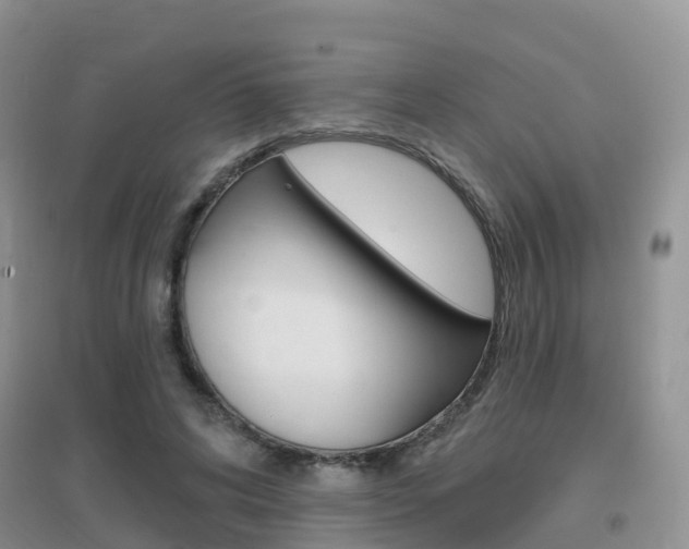 X0000096950592200802080923