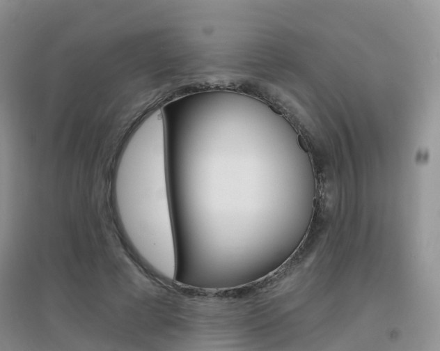 X0000096950593200802080923