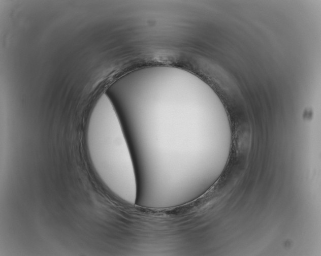 X0000096950595200802080923