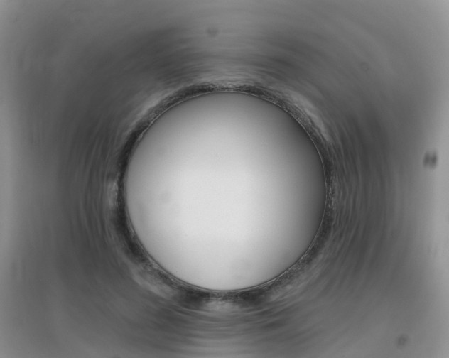 X0000096950596200802080923