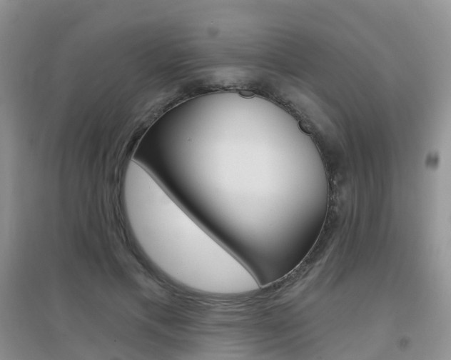X0000096950597200802080923
