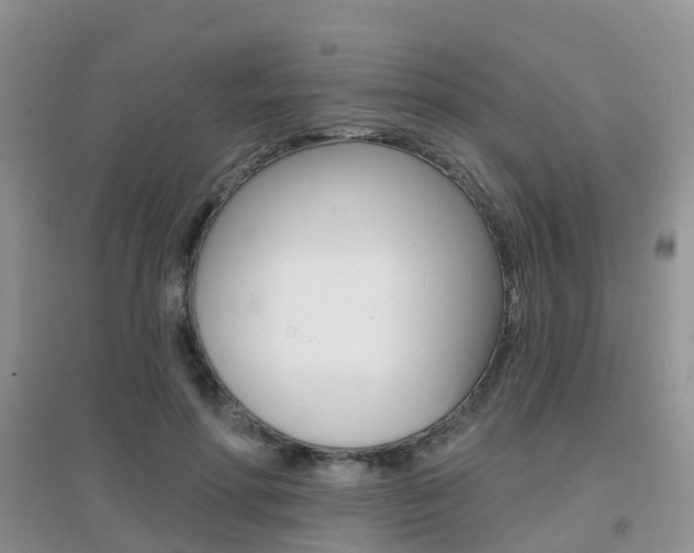X0000096950598200802080922