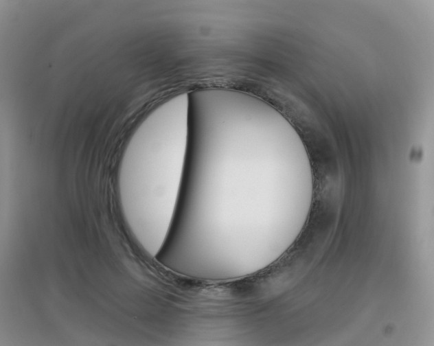 X0000096950599200802080922