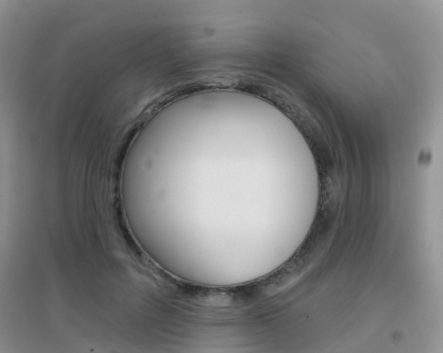 X0000096950600200802080922