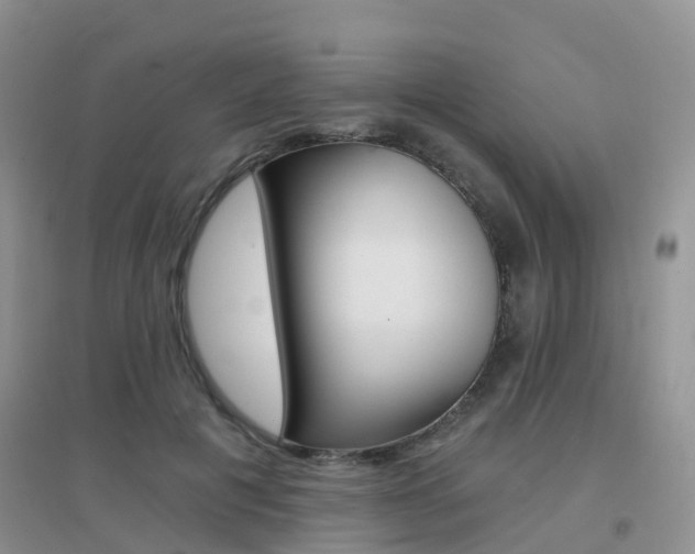 X0000096950601200802080922