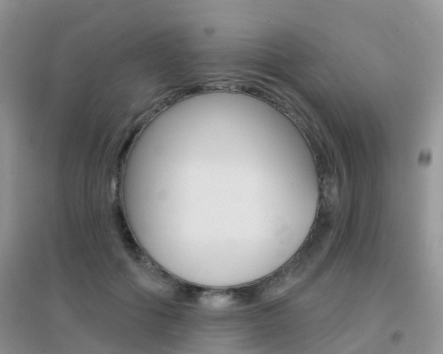 X0000096950602200802080922