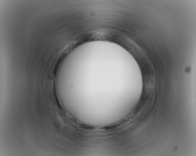 X0000096950603200802080922