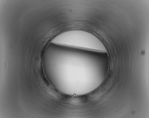 X0000096950604200802080922