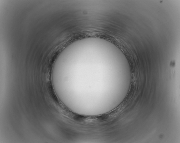 X0000096950606200802080922