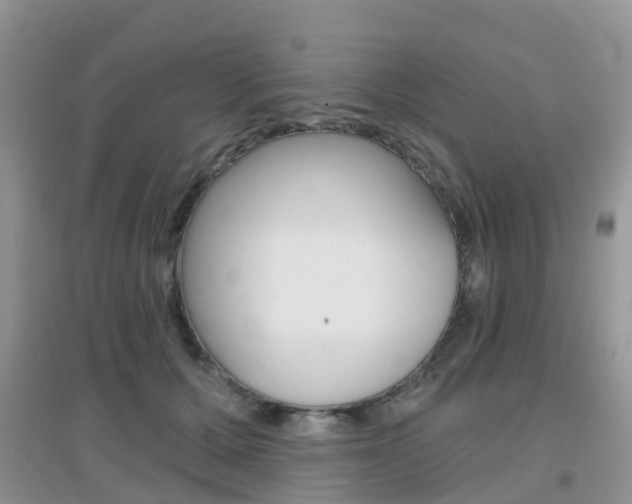 X0000096950607200802080922