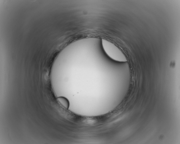 X0000096950610200802080922