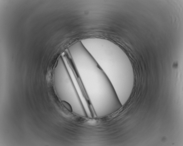 X0000096950611200802080922