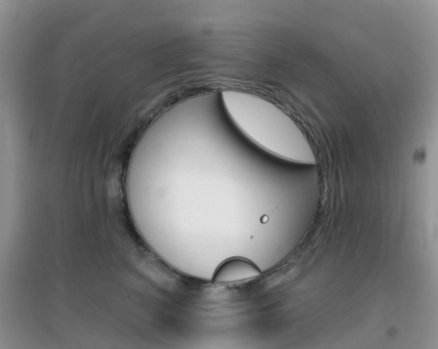 X0000096950616200802080922