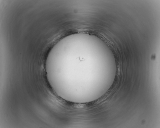 X0000096950618200802080922