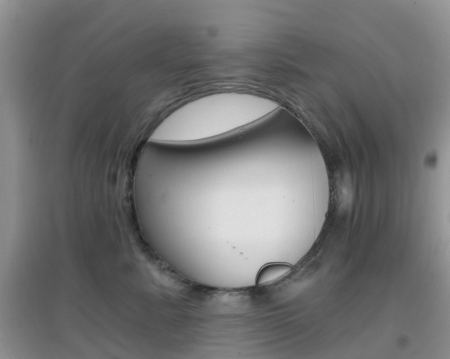 X0000096950619200802080922