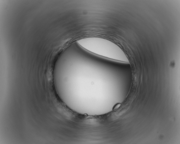 X0000096950620200802080922