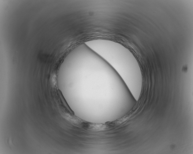 X0000096950621200802080922