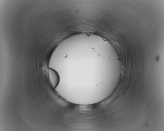 X0000096950622200802080922