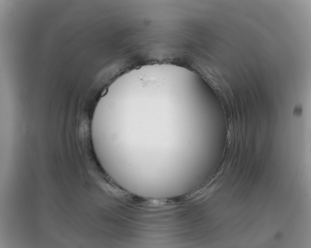 X0000096950623200802080922