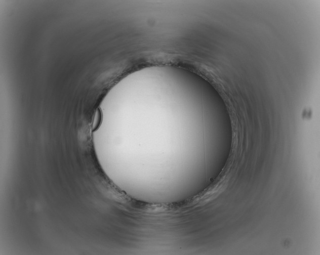 X0000096950624200802080922