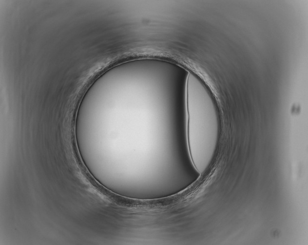 X0000096950625200802080921