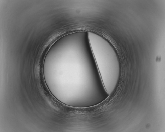 X0000096950626200802080921