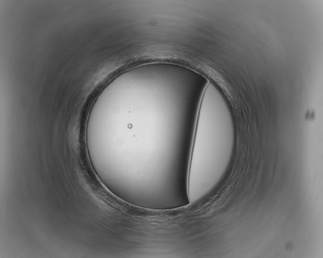 X0000096950627200802080921