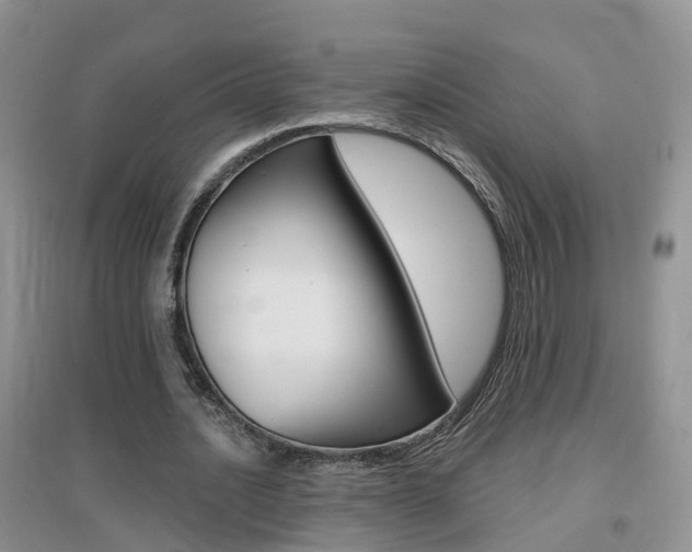 X0000096950628200802080921