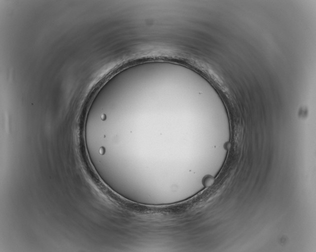 X0000096950629200802080921
