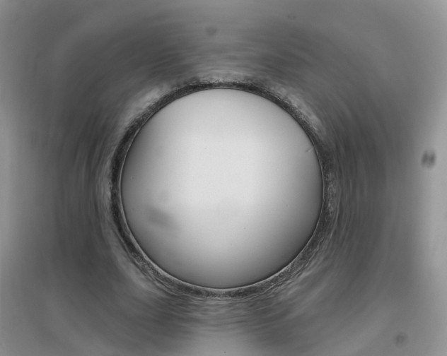 X0000096950631200802080921
