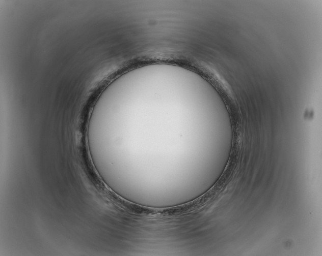 X0000096950635200802080921