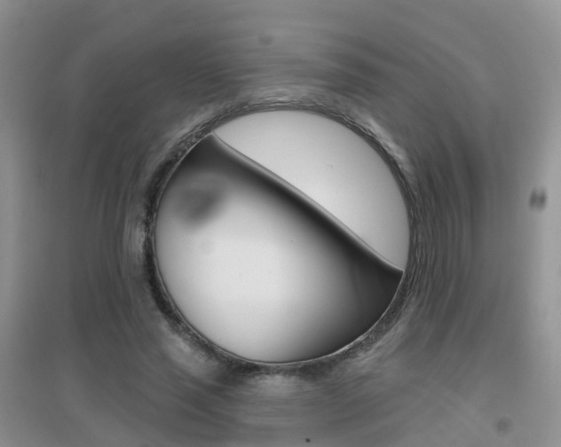 X0000096950637200802080921