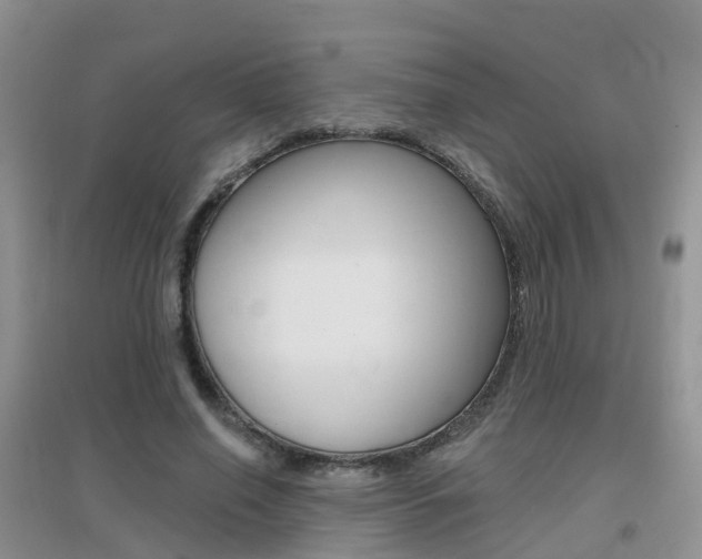 X0000096950638200802080921