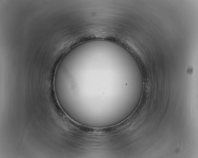 X0000096950639200802080921