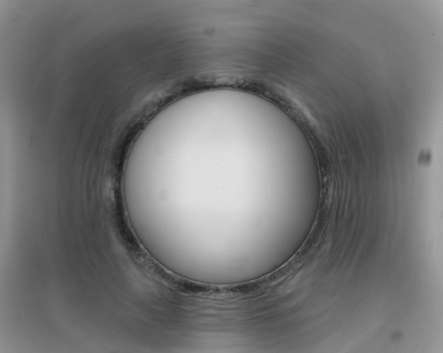 X0000096950643200802080922