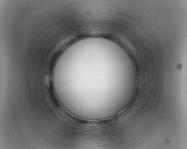 X0000096950644200802080922