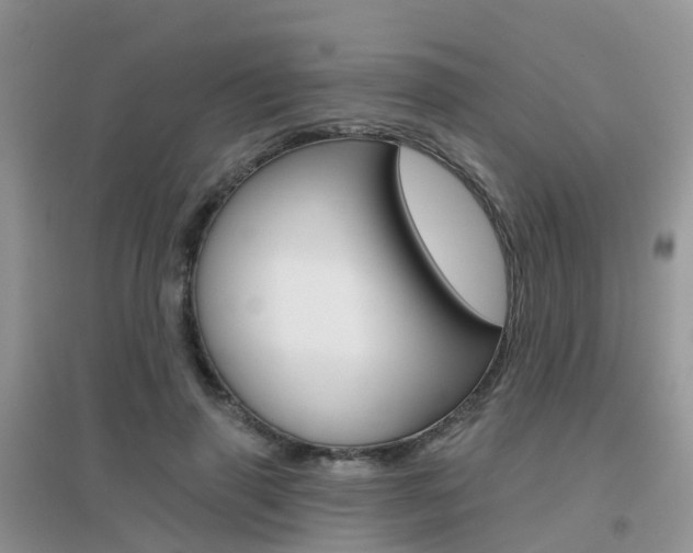 X0000096950645200802080922