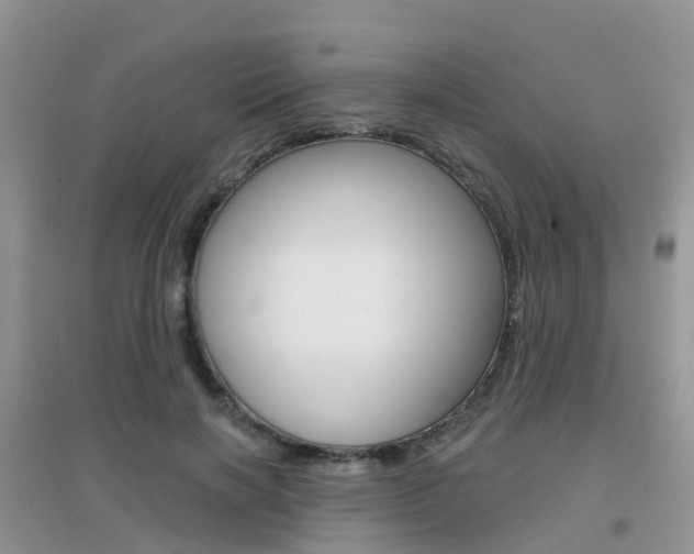 X0000096950646200802080922