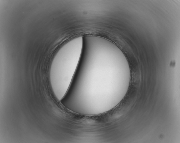 X0000096950648200802080922