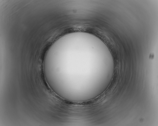 X0000096950649200802080922