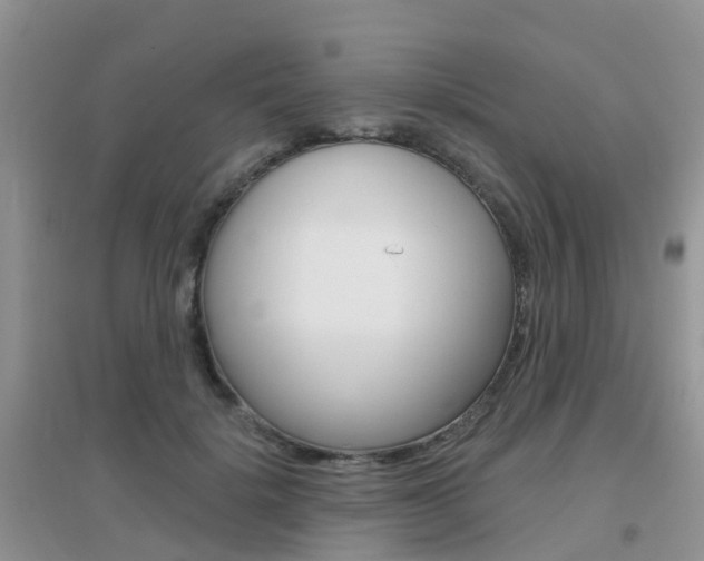 X0000096950652200802080922
