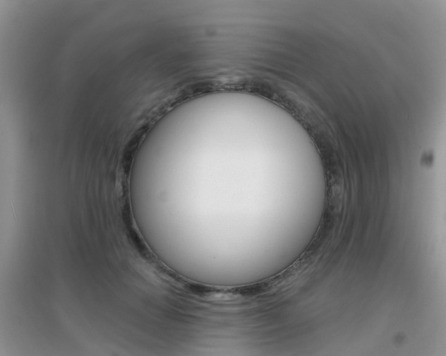 X0000096950654200802080922