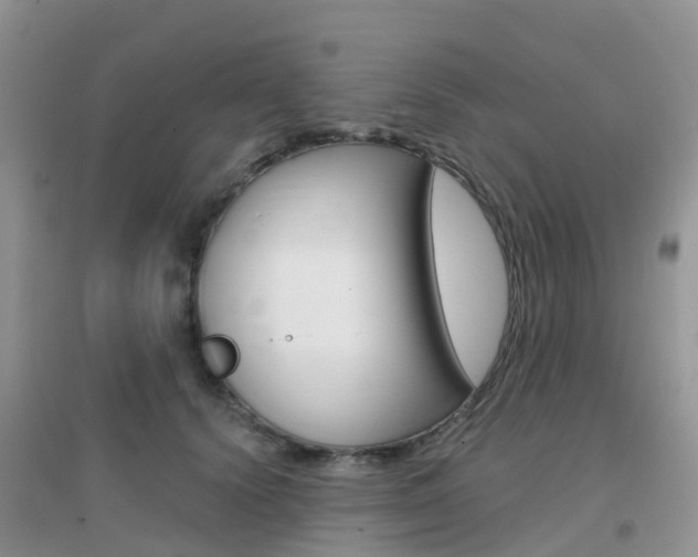 X0000096950656200802080922