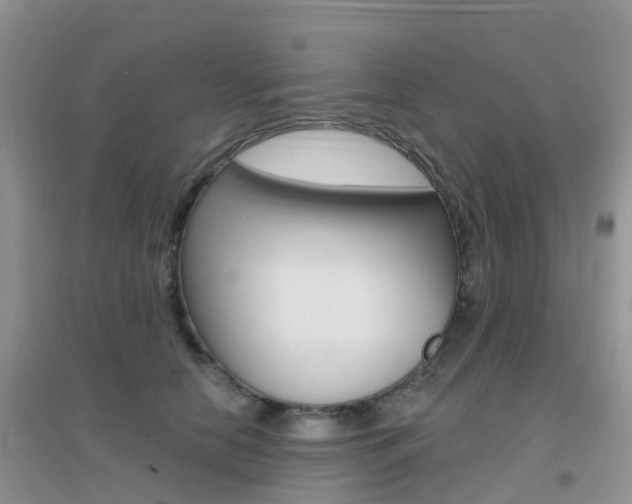 X0000096950658200802080922
