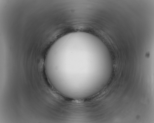 X0000096950660200802080922