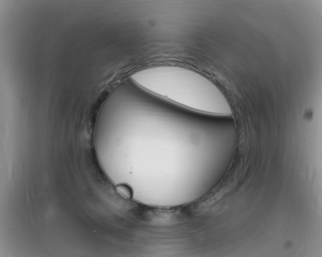 X0000096950661200802080922