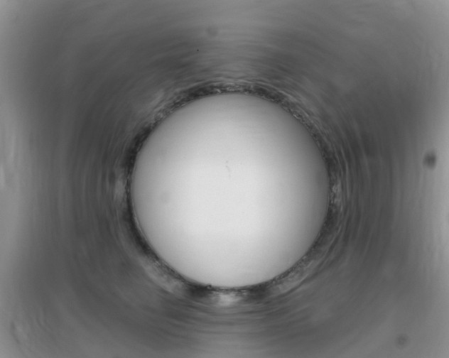X0000096950662200802080922