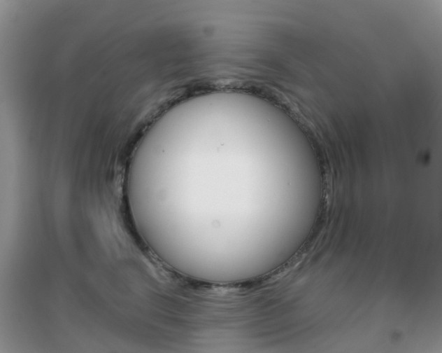 X0000096950664200802080922
